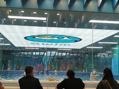 -Swim斯卫姆国际儿童游泳中心(红博中央公园店)