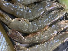 -燚青春东北泥炉烤肉(百合店)