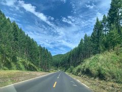 -塞罕坝国家级自然保护区