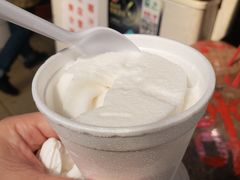 -洪馨椰子