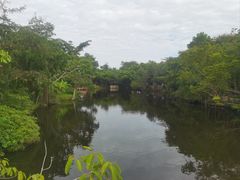 -绿光森林餐厅