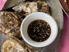 -大湾区中央湿地公园-十九涌