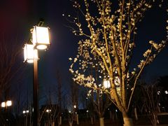 -西海子公园