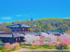 -三国水浒景区(无锡影视基地)