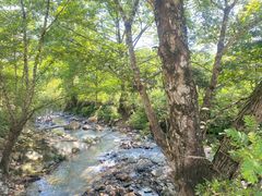 -长沙黑麋峰国家森林公园