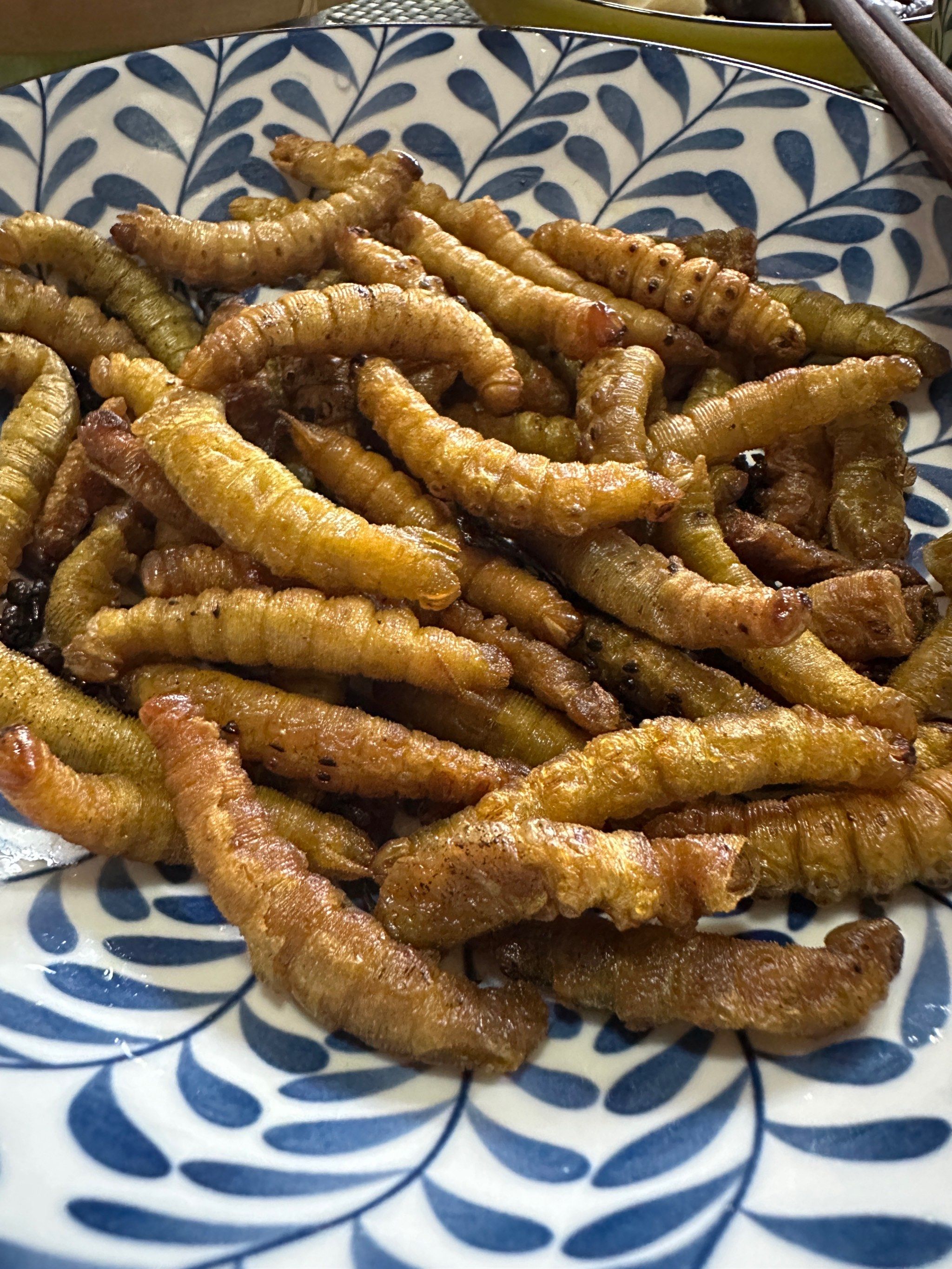 小时候和麻麻回老家 舅舅就会给我烤豆虫吃 绿色胖嘟嘟的在煮饭的土灶