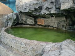 -爱江山温泉(凌奥店)