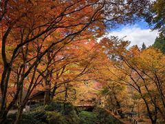 -三千院