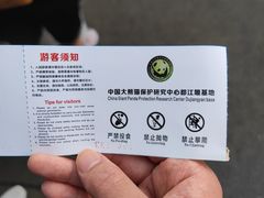 -都江堰中华大熊猫苑
