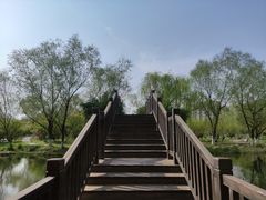 -洋湖国家湿地公园