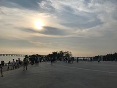 -宝安西湾红树林湿地公园