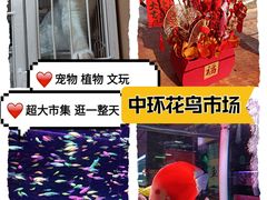 -中环花鸟鱼虫市场
