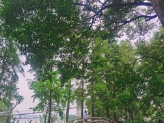 -东湖落雁景区