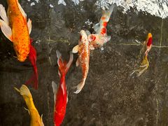 -天津海河悦榕庄·Lobby Lounge大堂吧