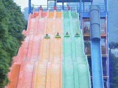 -重庆海昌加勒比海水世界