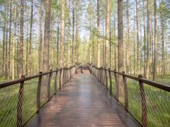 -黄海国家森林公园