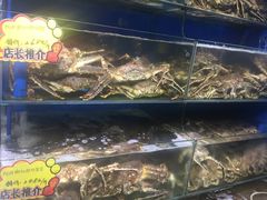 -蚝专家(北滘店)