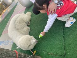 -萌宠亲子动物乐园(槐房万达店)