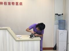 -瑞派康怡24h宠物医院·犬猫医疗中心·微创绝育(瑞景分院)