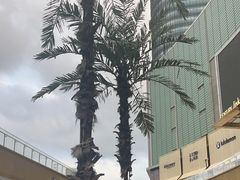 -上海世纪汇广场