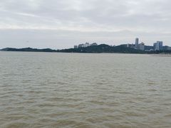 -野狸岛