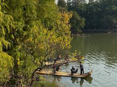 -东湖落雁景区