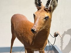 -大庆市博物馆