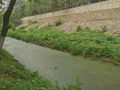 -永定河休闲森林公园