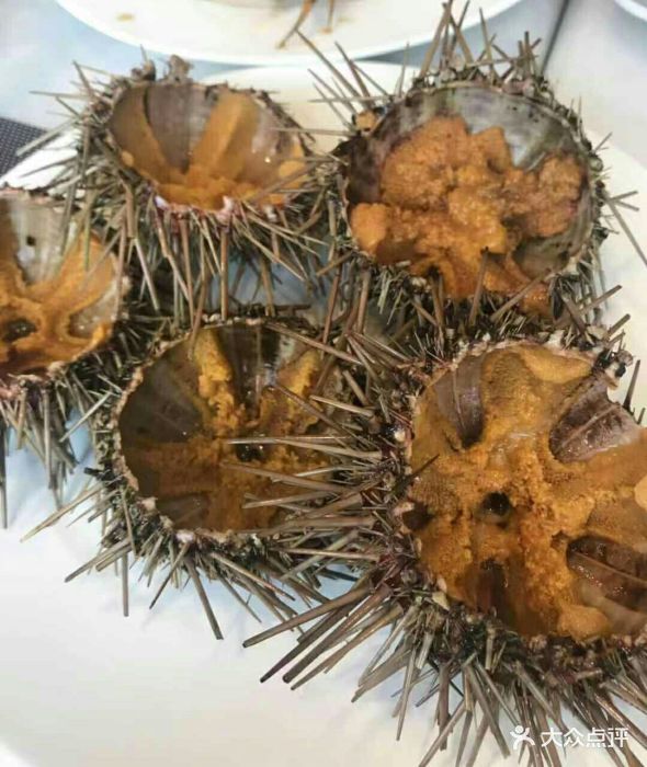 龙一海鲜日本海胆图片