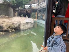 -灵玲国际马戏城