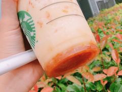 -星巴克(真如星光耀广场店)