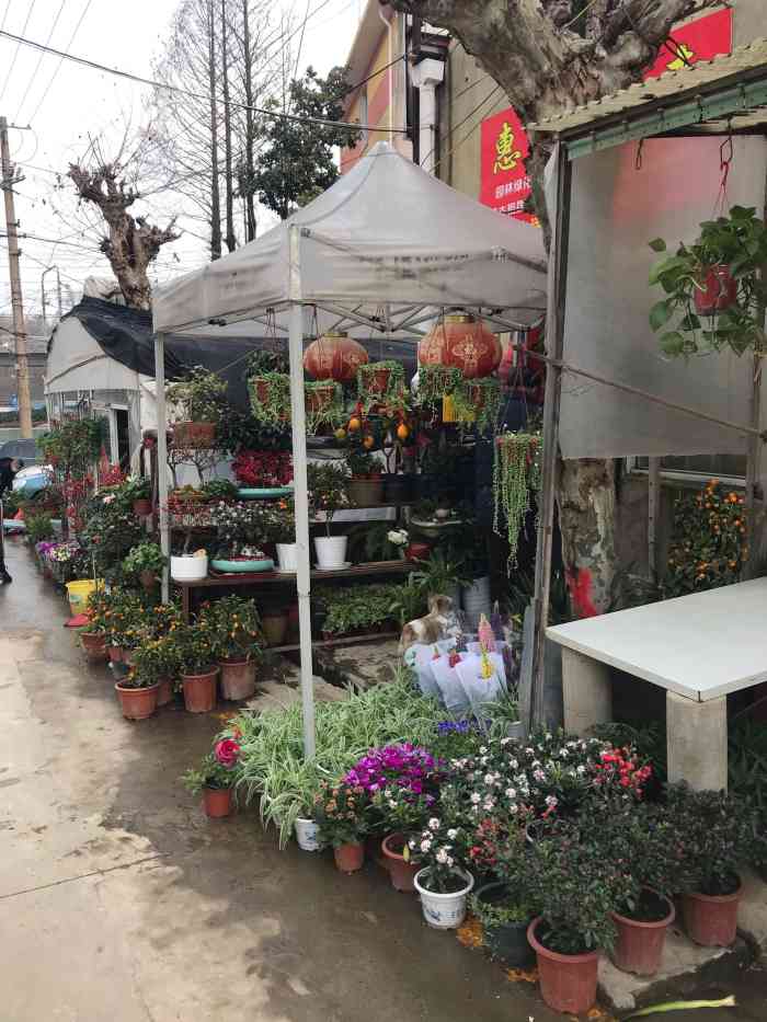 金陵花卉交易市场-"地铁安德门2号出口往北走几分钟就到了.不.