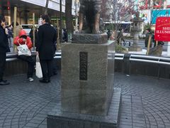 -涩谷区