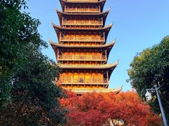 -常熟方塔园