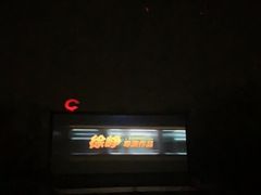 -枫花园汽车电影院(朝阳公园店)
