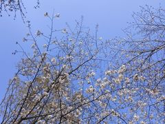 -长广溪湿地公园