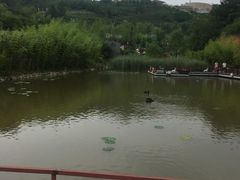 -白鹿原影视城