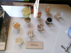 -北京动物园-畅观楼