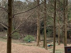 -合肥野生动物园