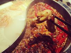 -销魂美蛙鱼头火锅(上海首店)