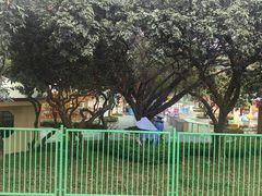 -紫马岭公园
