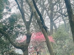 -宁波市保国寺古建筑博物馆