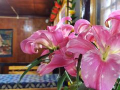 -老宅子私房菜馆(大理古城店)
