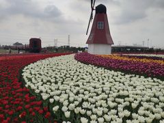 -菊园百果园
