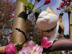 -海棠花溪(元大都城垣遗址公园)