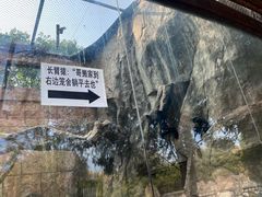 -南昌动物园