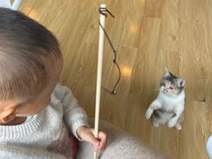 -Cappucimeow猫咪咖啡馆(韦伯时代店)