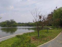 -莱西月湖公园
