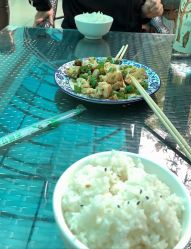 -上美四季动物农场
