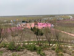 -南大港湿地风景区